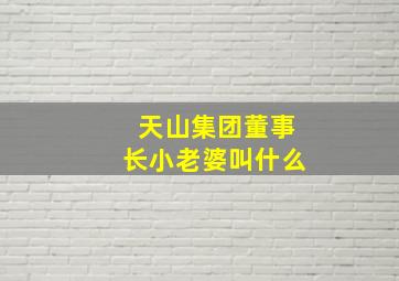 天山集团董事长小老婆叫什么