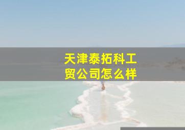 天津泰拓科工贸公司怎么样