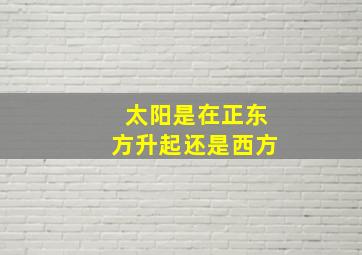 太阳是在正东方升起还是西方