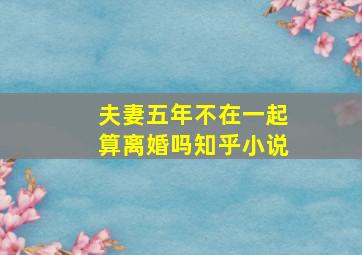 夫妻五年不在一起算离婚吗知乎小说