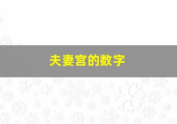 夫妻宫的数字