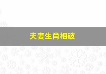 夫妻生肖相破