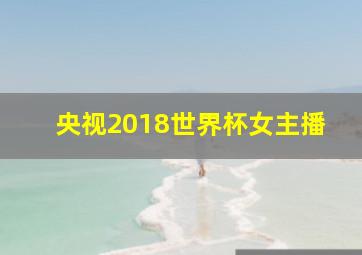 央视2018世界杯女主播