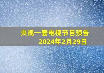 央视一套电视节目预告2024年2月29日