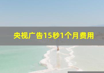 央视广告15秒1个月费用