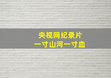 央视网纪录片一寸山河一寸血