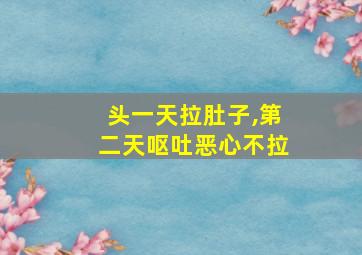 头一天拉肚子,第二天呕吐恶心不拉