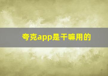 夸克app是干嘛用的