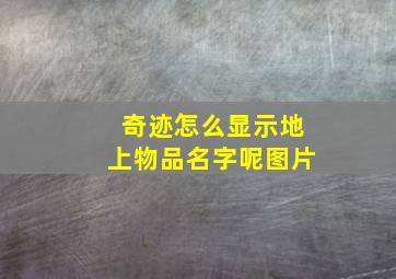 奇迹怎么显示地上物品名字呢图片