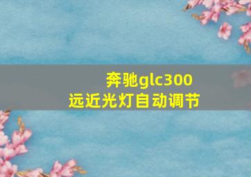 奔驰glc300远近光灯自动调节