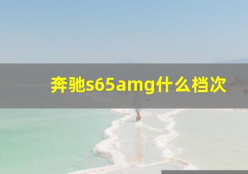 奔驰s65amg什么档次