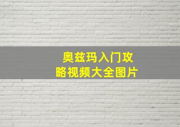 奥兹玛入门攻略视频大全图片