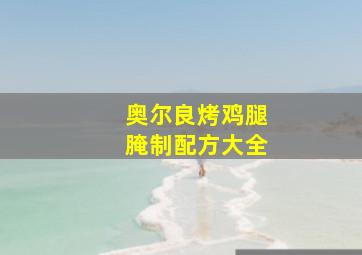 奥尔良烤鸡腿腌制配方大全