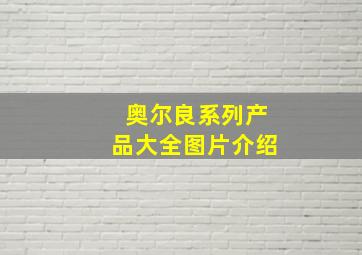 奥尔良系列产品大全图片介绍