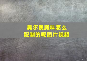 奥尔良腌料怎么配制的呢图片视频