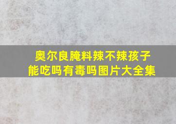 奥尔良腌料辣不辣孩子能吃吗有毒吗图片大全集