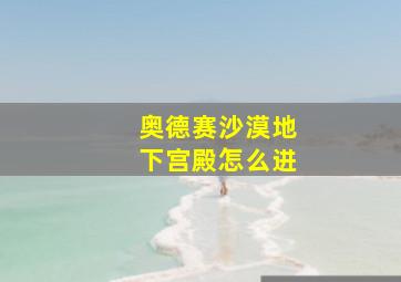 奥德赛沙漠地下宫殿怎么进