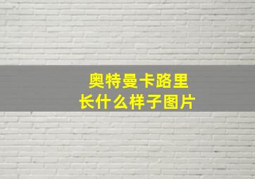 奥特曼卡路里长什么样子图片