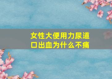 女性大便用力尿道口出血为什么不痛