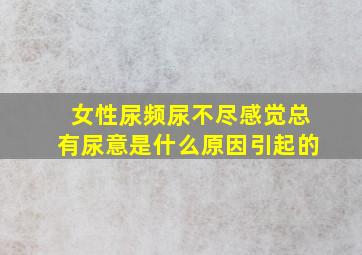 女性尿频尿不尽感觉总有尿意是什么原因引起的