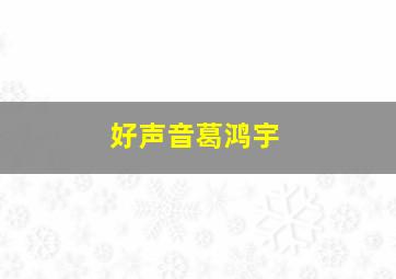 好声音葛鸿宇