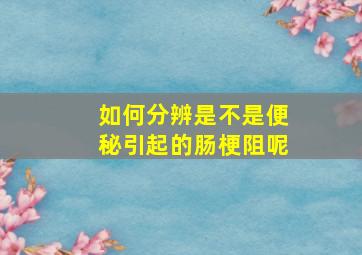 如何分辨是不是便秘引起的肠梗阻呢