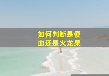 如何判断是便血还是火龙果