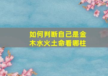 如何判断自己是金木水火土命看哪柱