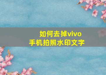 如何去掉vivo手机拍照水印文字