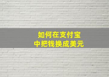 如何在支付宝中把钱换成美元