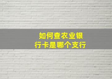 如何查农业银行卡是哪个支行