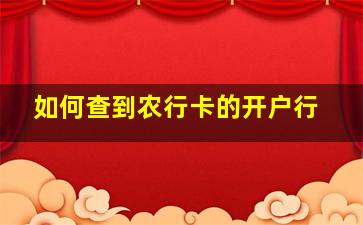 如何查到农行卡的开户行