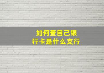 如何查自己银行卡是什么支行