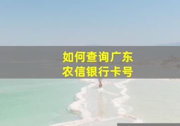 如何查询广东农信银行卡号