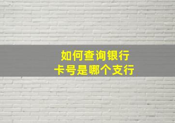 如何查询银行卡号是哪个支行