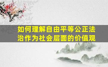 如何理解自由平等公正法治作为社会层面的价值观