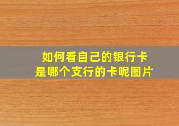 如何看自己的银行卡是哪个支行的卡呢图片