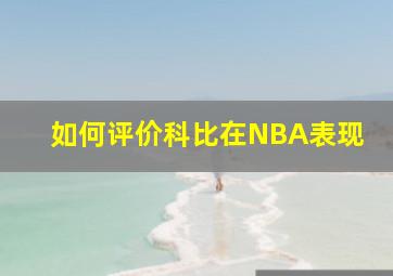 如何评价科比在NBA表现