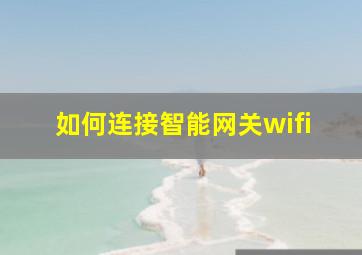 如何连接智能网关wifi