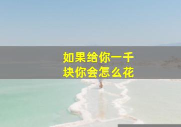 如果给你一千块你会怎么花