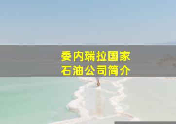 委内瑞拉国家石油公司简介