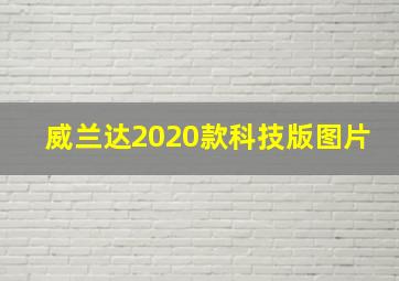 威兰达2020款科技版图片