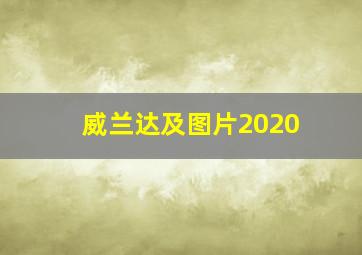 威兰达及图片2020