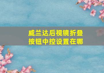 威兰达后视镜折叠按钮中控设置在哪