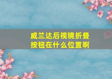 威兰达后视镜折叠按钮在什么位置啊