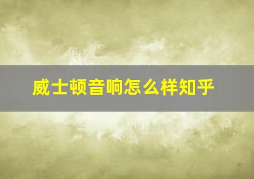 威士顿音响怎么样知乎