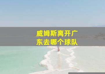 威姆斯离开广东去哪个球队