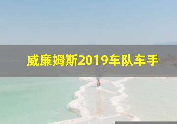 威廉姆斯2019车队车手