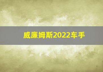 威廉姆斯2022车手