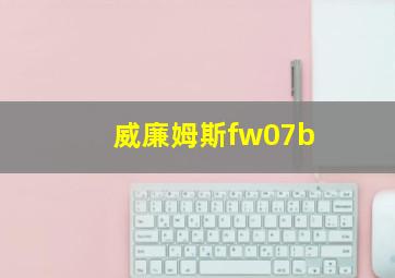 威廉姆斯fw07b